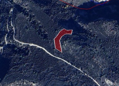 Dora, Limassol Agricultural Field For Sale | WW28709