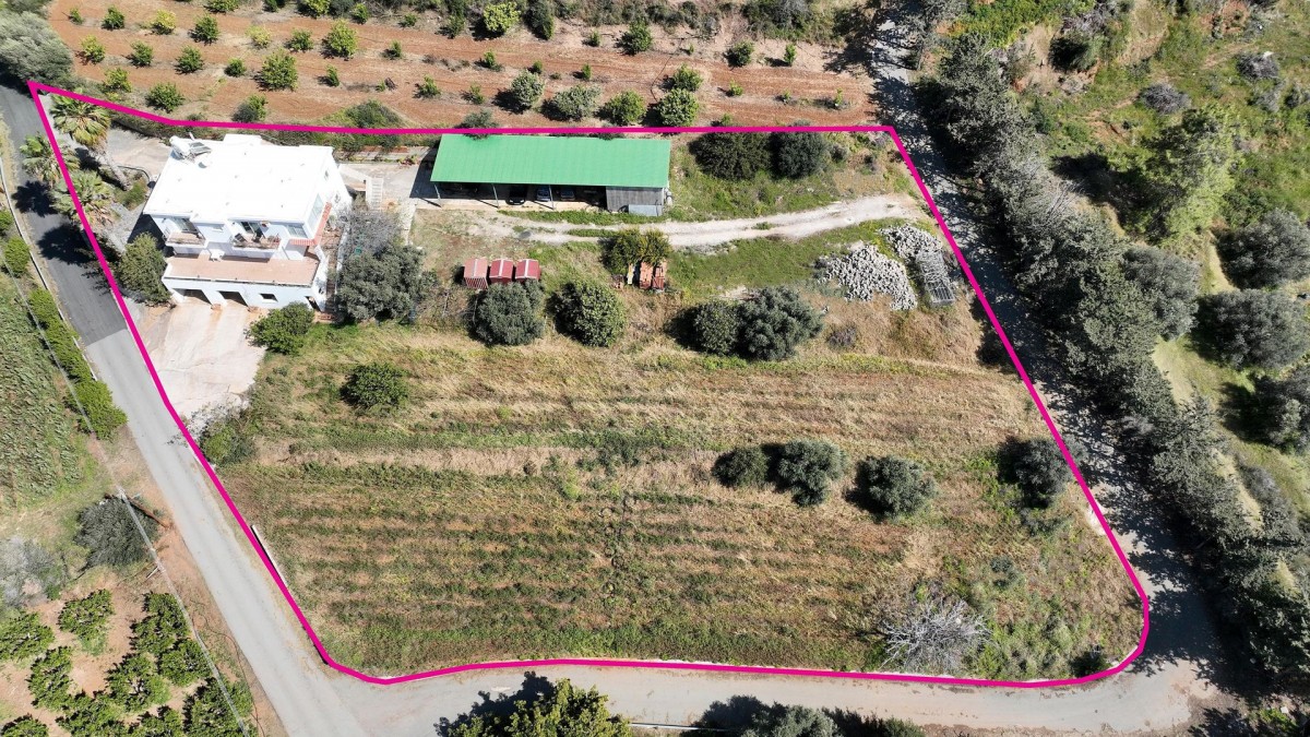 Detached Villa For Sale  in  Nea Dimmata