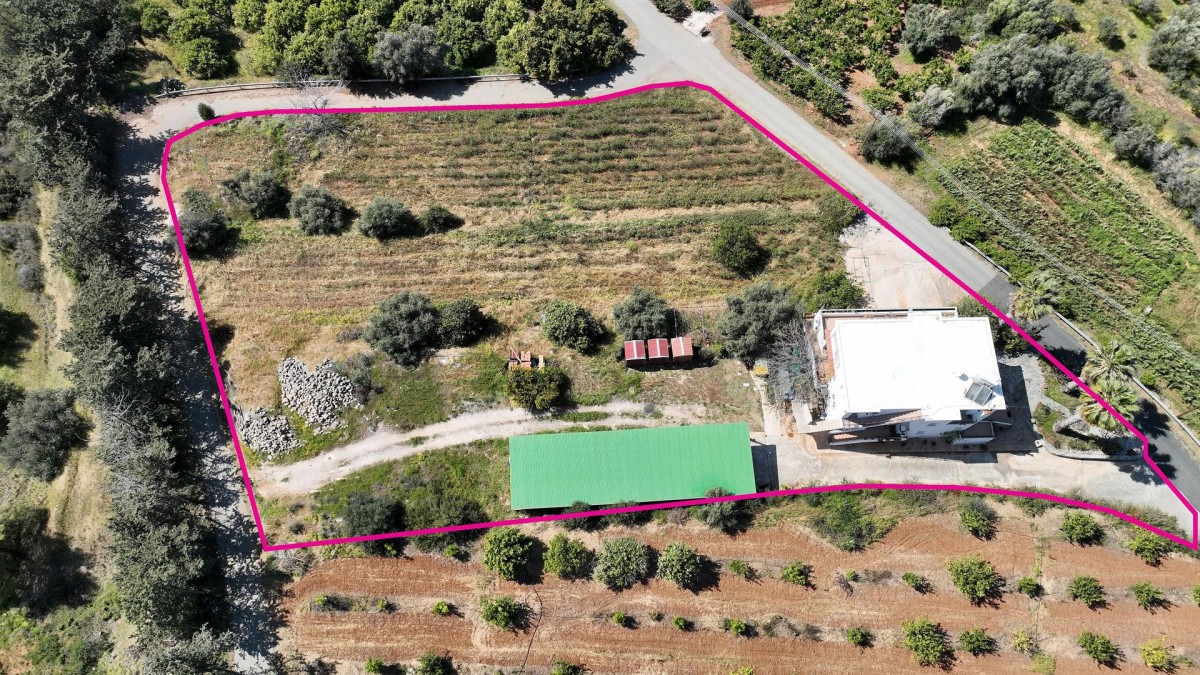 Detached Villa For Sale  in  Nea Dimmata