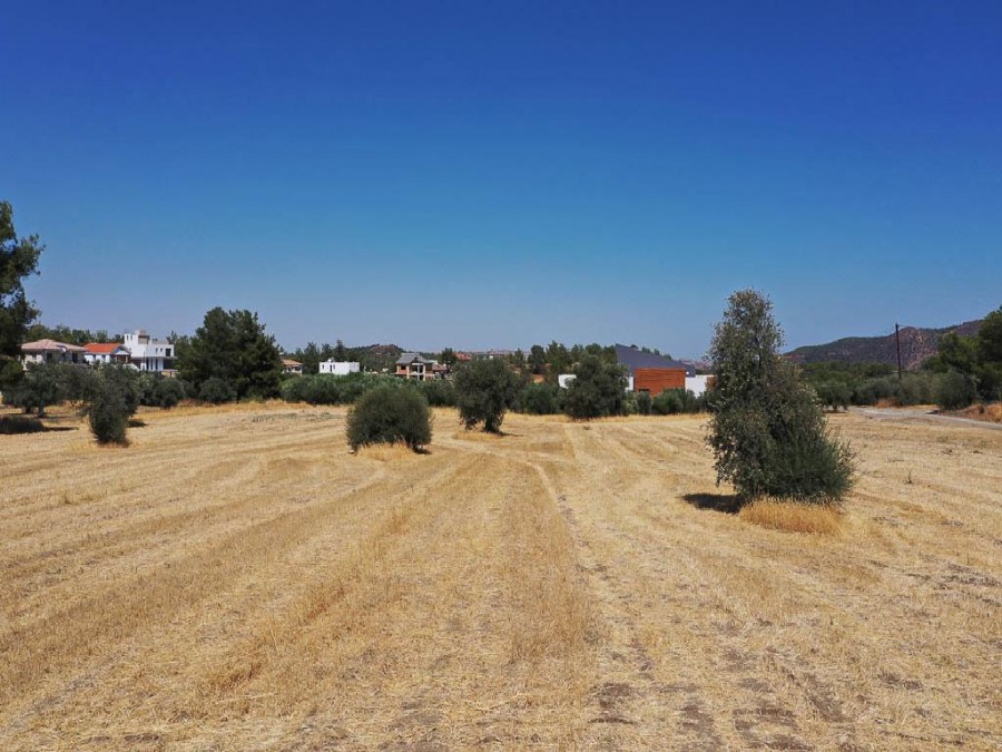 Residential Field For Sale  in  Sia