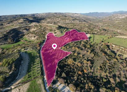 Choulou, Paphos Agricultural Field For Sale | WW28731