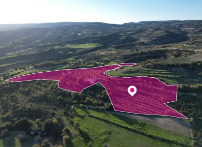 Choulou, Paphos Agricultural Field For Sale | WW28731