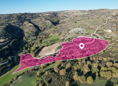 Psathi, Paphos Agricultural Field For Sale | WW28739