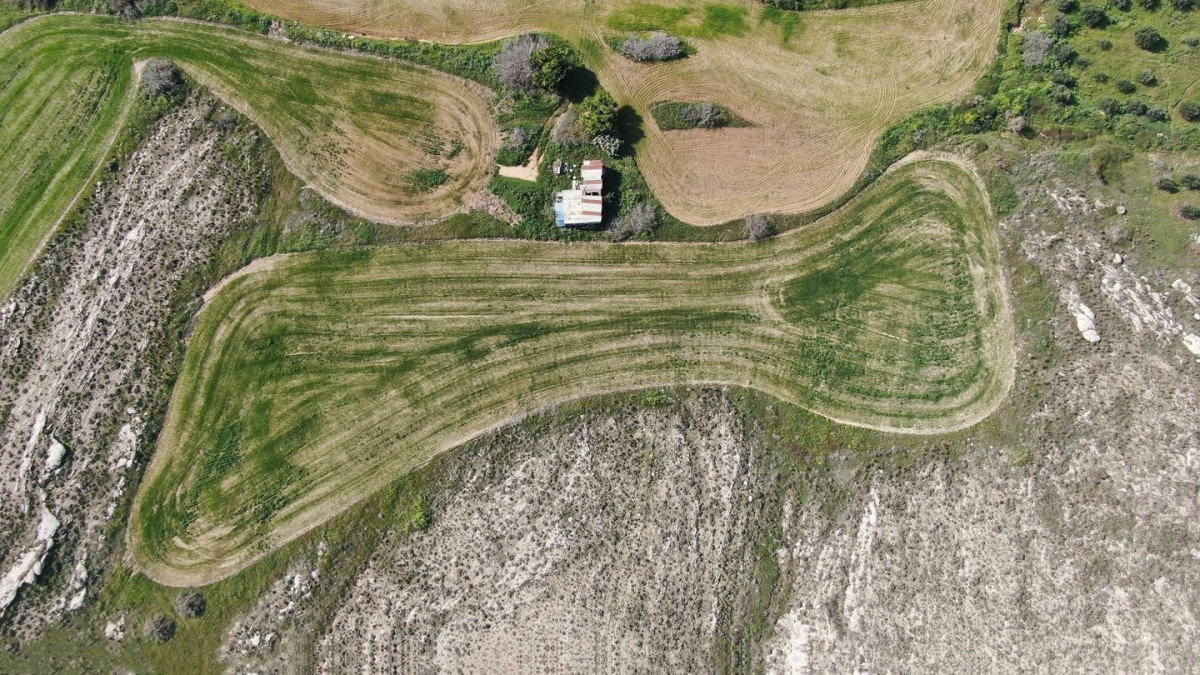 Share (25%) of a residential field, Geri