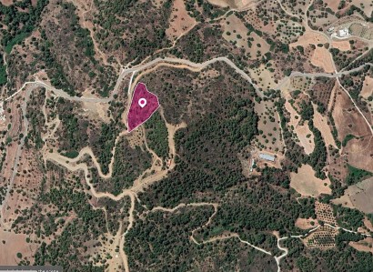 Lysos, Paphos Agricultural Field For Sale | WW28770