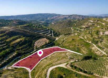 Tsada, Paphos Agricultural Field For Sale | WW28771