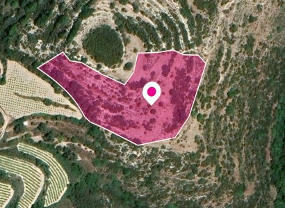 Koili, Paphos Residential Plot For Sale | WW28773