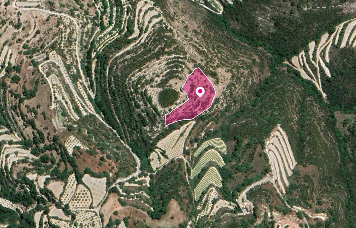 Agricultural Field, Koili, Paphos