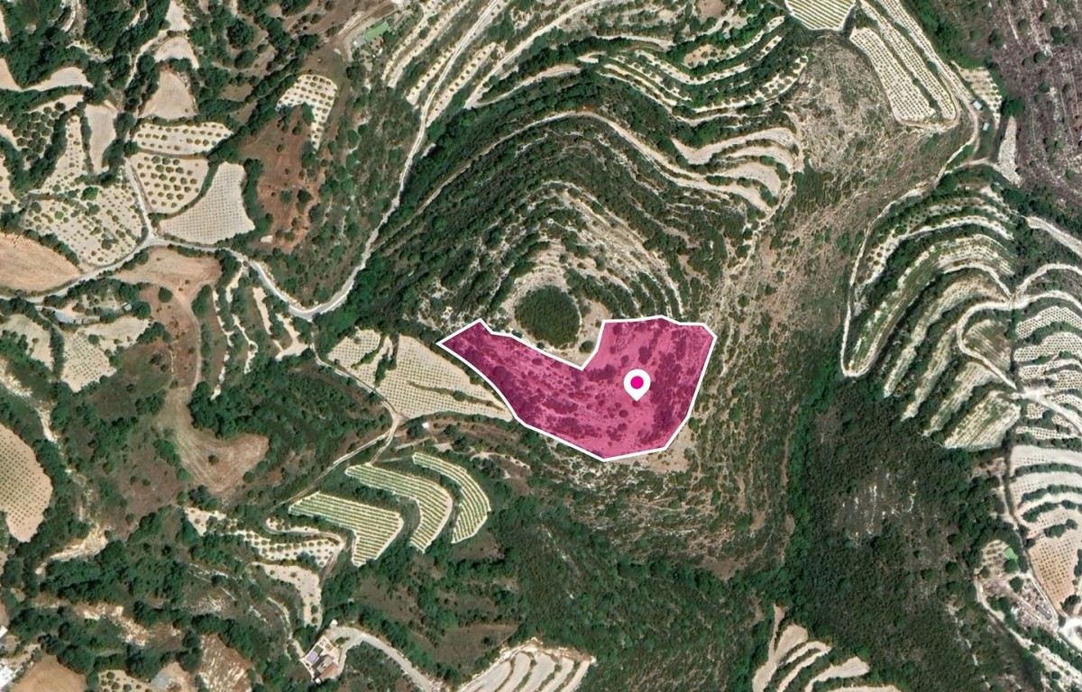 Agricultural Field, Koili, Paphos