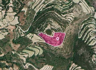 Koili, Paphos Residential Plot For Sale | WW28773
