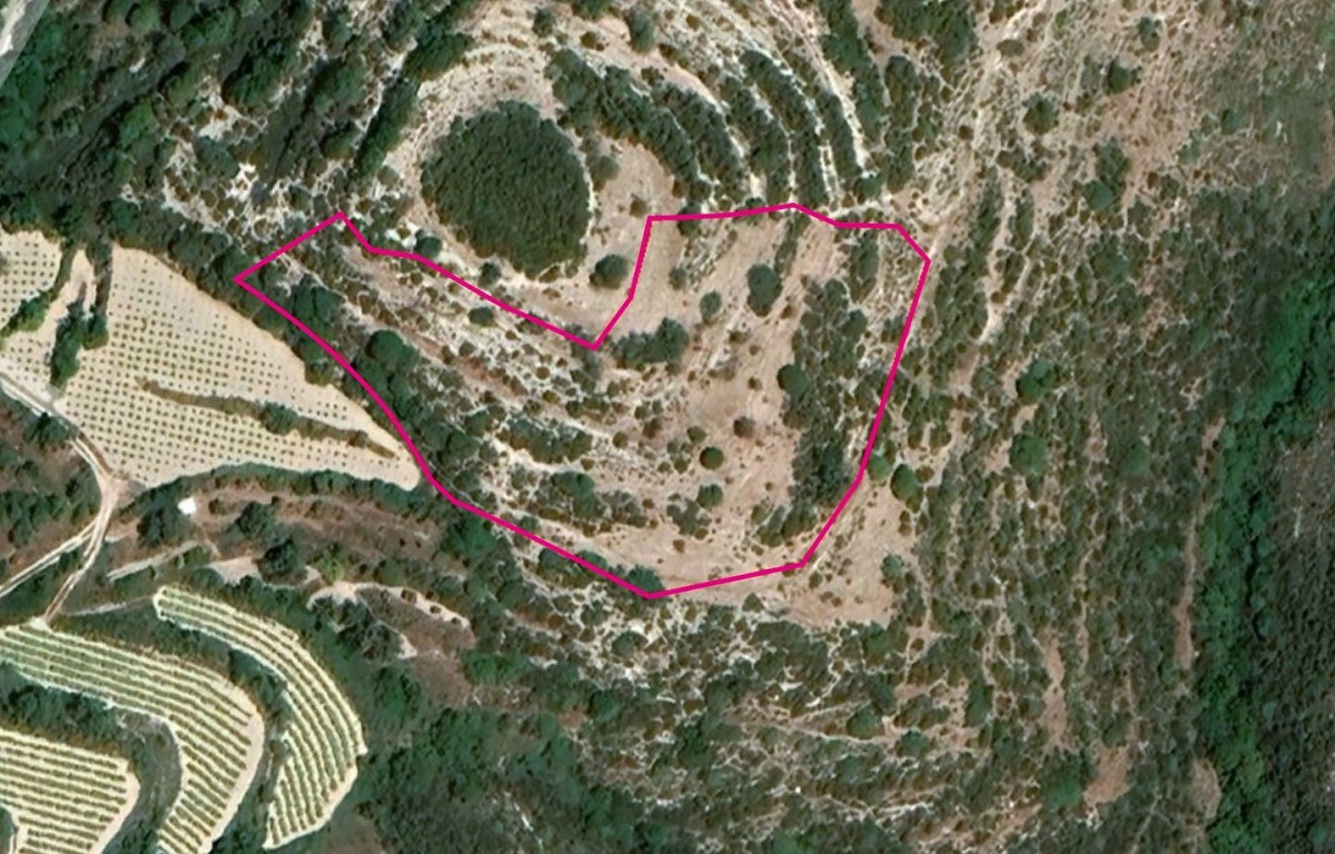 Agricultural Field, Koili, Paphos