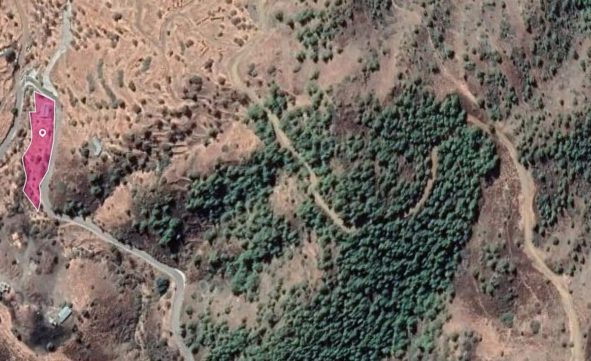 Residential field in Pano Pyrgos, NIcosia