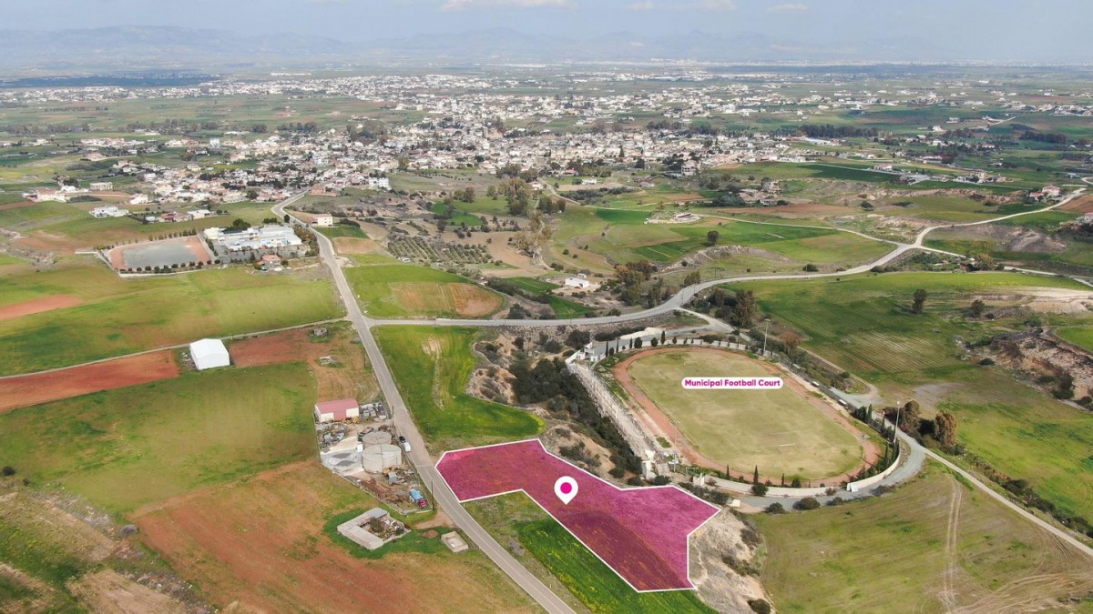 Palaiometocho Agricultural Field For Sale | WW28782