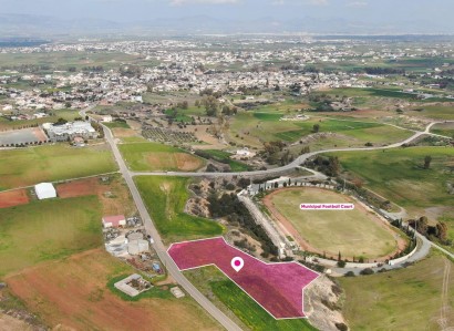 Palaiometocho Agricultural Field For Sale | WW28782