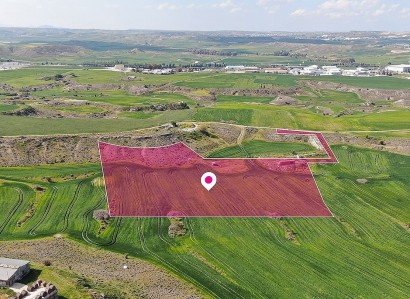 Nisou, Nicosia Agricultural Field For Sale | WW28788