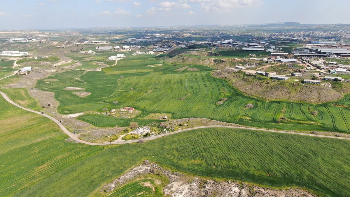 Agricultural field, Nisou