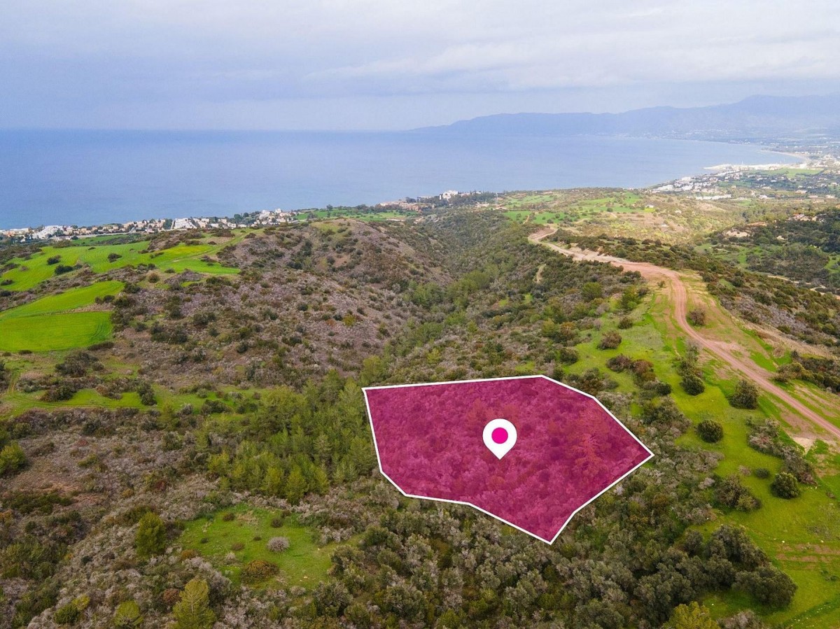 Neo Chorio, Paphos Agricultural Field For Sale | WW28791