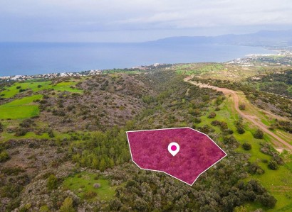 Neo Chorio, Paphos Agricultural Field For Sale | WW28791