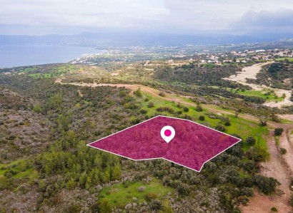 Neo Chorio, Paphos Agricultural Field For Sale | WW28791