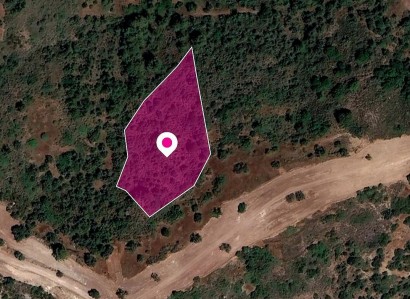 Neo Chorio, Paphos Agricultural Field For Sale | WW28791