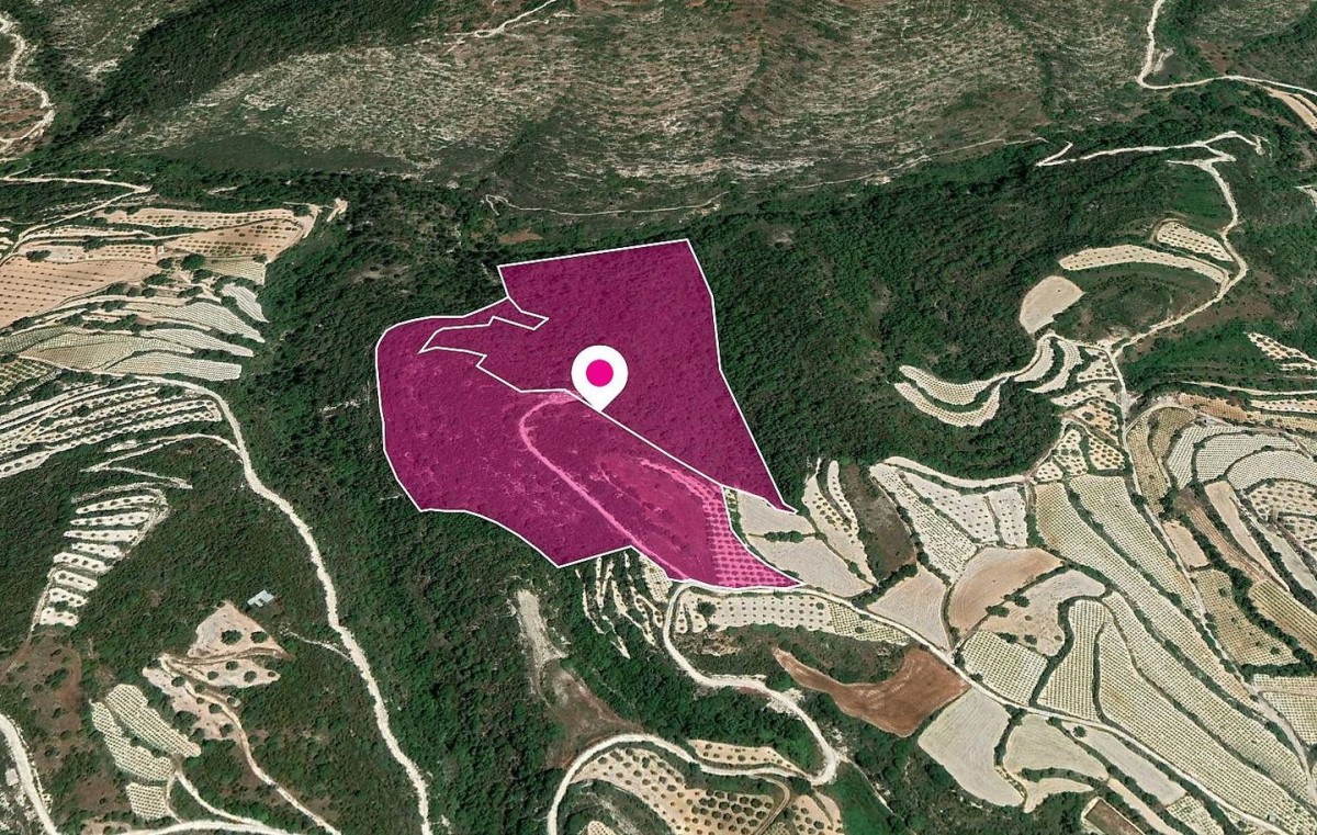 Koili, Paphos Agricultural Field For Sale | WW28795