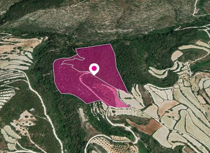 Koili, Paphos Agricultural Field For Sale | WW28795