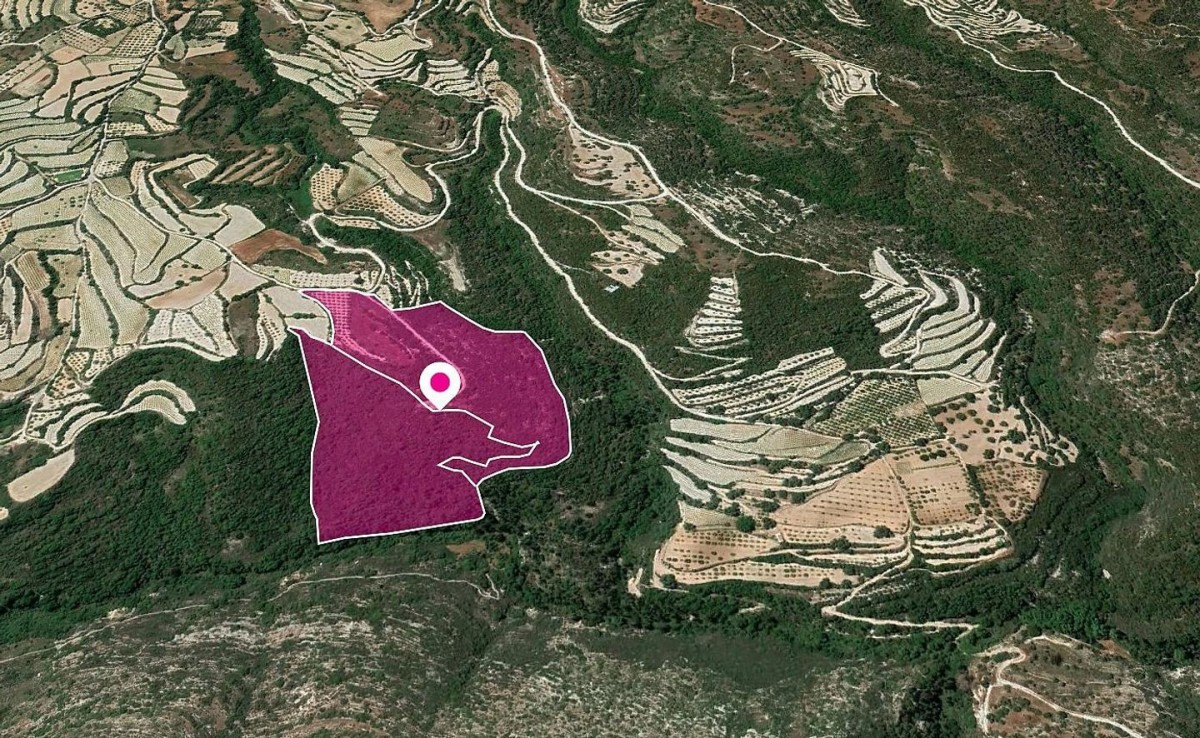 Shared Agricultural Fields, Koili, Paphos