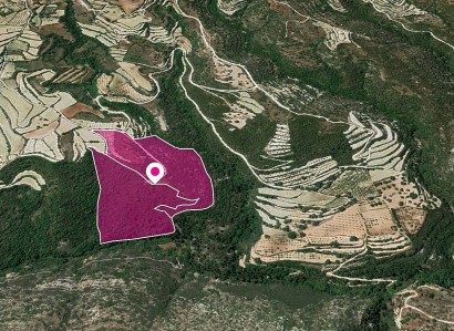 Koili, Paphos Agricultural Field For Sale | WW28795