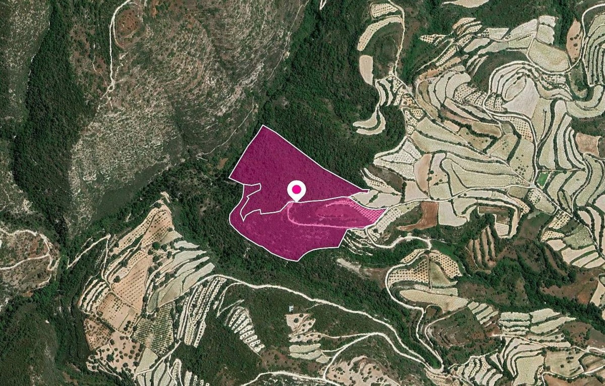 Shared Agricultural Fields, Koili, Paphos