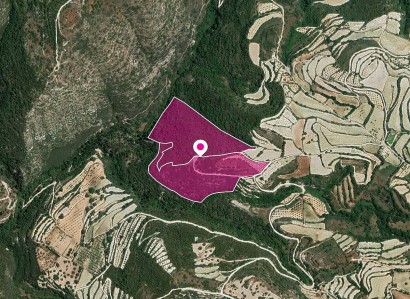 Koili, Paphos Agricultural Field For Sale | WW28795