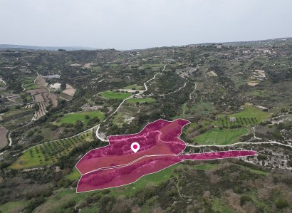 Psathi, Paphos Agricultural Field For Sale | WW28798