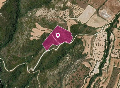 Kritou Tera, Paphos Agricultural Field For Sale | WW28799