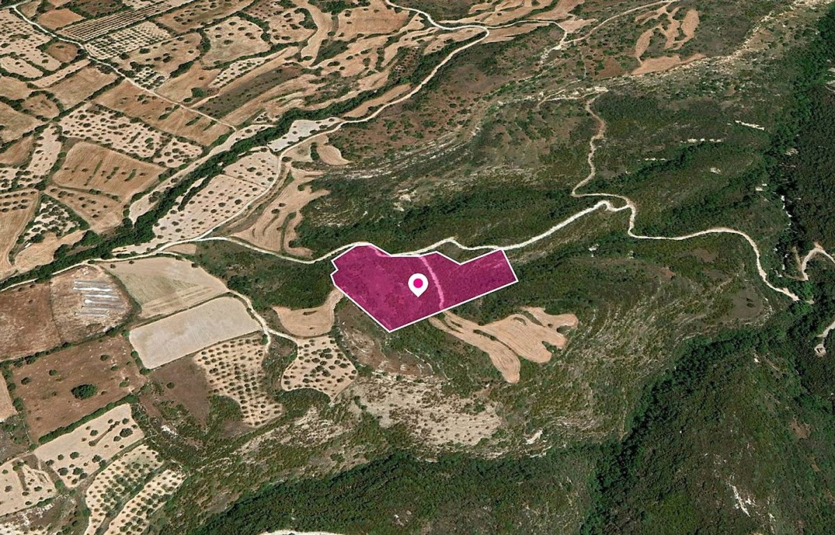 Agricultural Field, Kritou Tera, Paphos