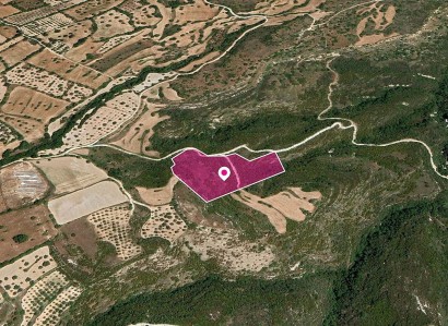 Kritou Tera, Paphos Agricultural Field For Sale | WW28799