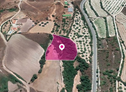 Simou, Paphos Agricultural Field For Sale | WW28803