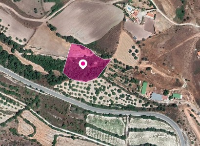 Simou, Paphos Agricultural Field For Sale | WW28803