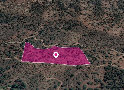 Agios Theodoros Agricultural Field For Sale | WW28804