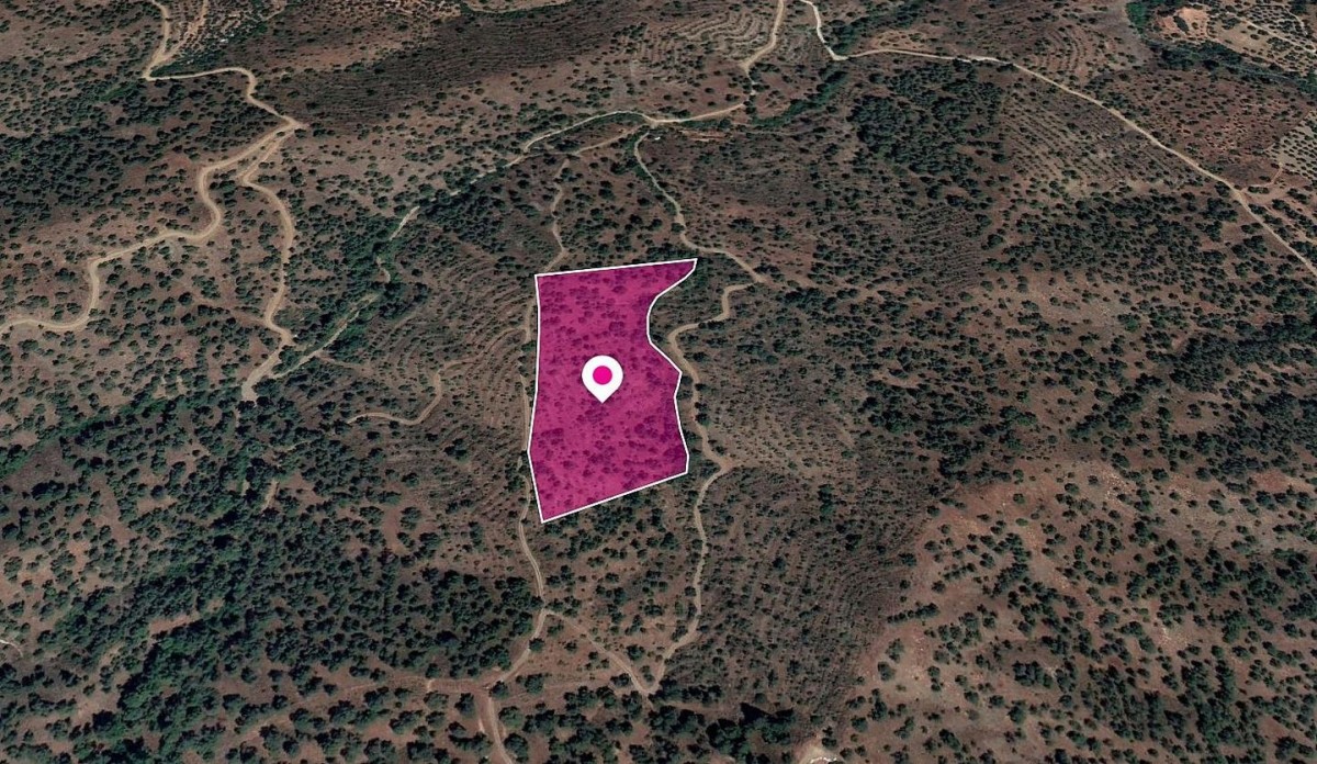 Special Protection Zone Field in Agios Theodoros, Nicosia