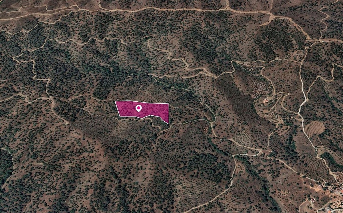 Special Protection Zone Field in Agios Theodoros, Nicosia