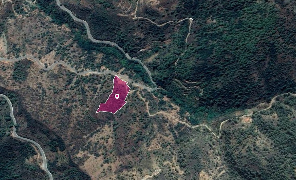 Kalopanagiotis Agricultural Field For Sale | WW28805