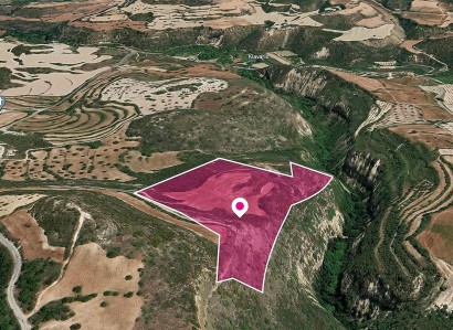 Kritou Tera, Paphos Agricultural Field For Sale | WW28811