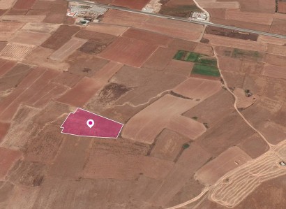 Palaiometocho Agricultural Field For Sale | WW28813
