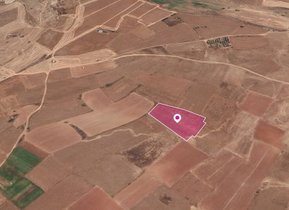 Palaiometocho Agricultural Field For Sale | WW28813