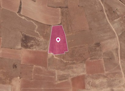 Palaiometocho Agricultural Field For Sale | WW28813