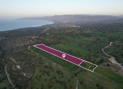 Neo Chorio, Paphos Agricultural Field For Sale | WW28814