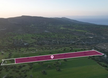 Neo Chorio, Paphos Agricultural Field For Sale | WW28814