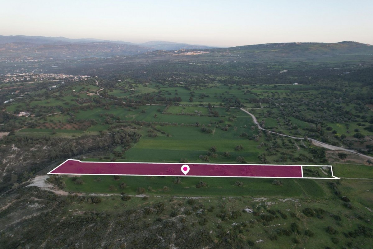 Share of Agricultural field, Neo Chorio Paphou