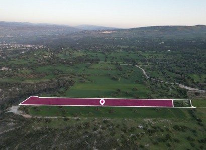 Neo Chorio, Paphos Agricultural Field For Sale | WW28814