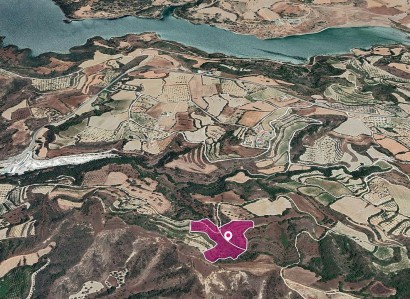 Giolou, Paphos Agricultural Field For Sale | WW28815