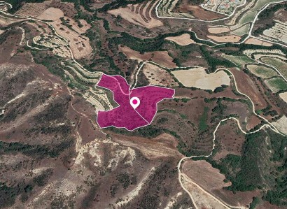 Giolou, Paphos Agricultural Field For Sale | WW28815